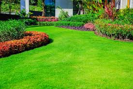 How To Maintain A Lush Lawn: Step-By-Step Guide