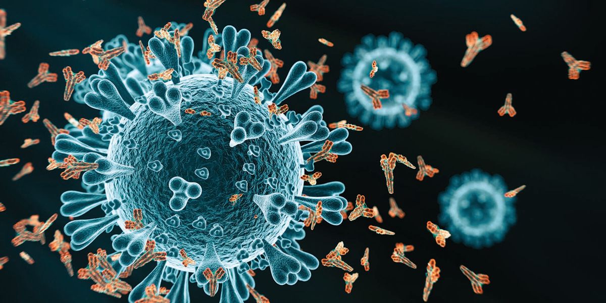 Discover The Best Polyclonal Antibody Development Service